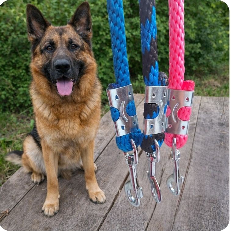 Návrh bez názvu - 2026-03-01T143457.599